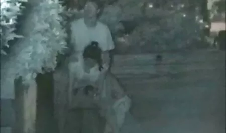 Family idyll with fullhdporn Alison Faye.