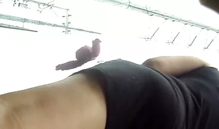 Black sunny leone nude cock hard to the hole whore